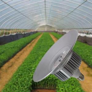 Éclairage LED à spectre complet en aluminium pour serres, idéal pour la culture intérieure de légumes et le soutien à l'agriculture commerciale - Product Image 1