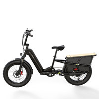 OEM ODM Langschwanz-Elektro-Lastenfahrrad 48V 250W Starke Leistung Große Ladekapazität Elektrisches Lieferfahrrad