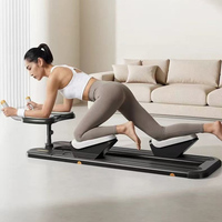 Appareil de fitness multifonctionnel pour l'intérieur : Machine à ramper, Étirements de la colonne lombaire, Entraîneur de Pilates pour le gainage