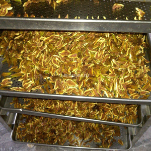 فرن تجفيف لمعالجة الأغذية لتجفيف الفواكه والخضروات والبيض والبصل والموز ولحم البقر المجفف والأسماك واللحوم مصنوع من التيتانيوم مع ميزات المحرك - Product Image 6