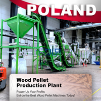 Ligne de production de granulés de bois RICHI approuvée CE, capacité 1-40 TPH, Pologne, prix compétitif et rentable