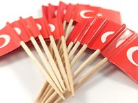 Nouveau lot de 100 cure-dents décoratifs en forme de drapeau de Turquie et de drapeaux de pays variés, mini-piques à cupcakes décorées