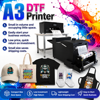 Imprimante DTF A3 de haute qualité XM-301 avec circulation d'encre blanche et agitateur de poudre pour l'impression par transfert thermique sur t-shirts
