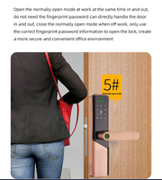 Beveiliging Ttlock Vingerafdruk Elektronisch Digitaal 5050 Insteekslot Wifi Tuya Smart Deurslot voor Thuis Appartement Hotel