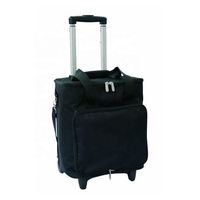 Sac à dos isotherme à roulettes pour vin avec motif lettres en polyester, capacité 6/12 bouteilles, glacière de voyage grande capacité 20L