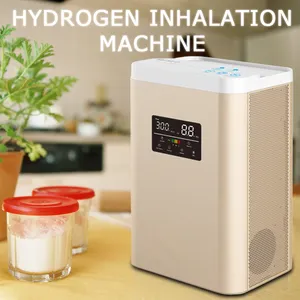 ABS-QY-01 OEM & ODM haute pureté Personnalisé professionnel hydrogène oxygène machine d'inhalation à vendre mixte d'hydrogène et d'oxygène