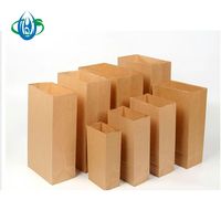 Sac de shopping en papier kraft recyclable imprimé avec logo personnalisé, résistant à la graisse, avec poignée Flexiloop, taille personnalisée pour l'emballage de sacs SOS