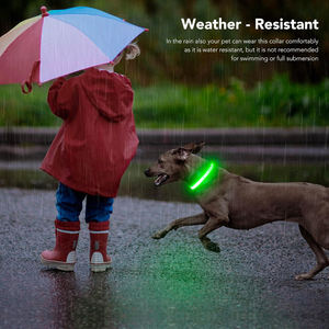 Collar de nailon elástico para mascotas fluorescente de alta visibilidad para caminar de noche - Product Image 6