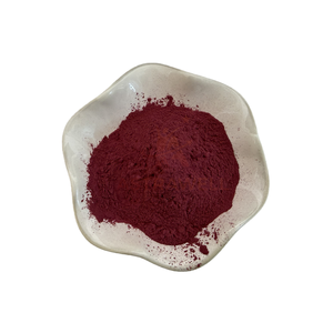 Astrawell Pó de Açaí de alta qualidade, grau alimentício, 100% puro, em forma de suco em pó. - Product Image 1