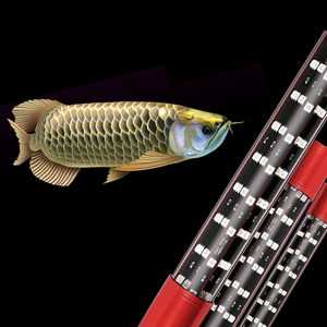 T10 5D 5 filas <span class=keywords><strong>led</strong></span> coral <span class=keywords><strong>reef</strong></span> acuario luces tanque de peces, espectro completo <span class=keywords><strong>led</strong></span> acuario luces usadas - Product Image 6