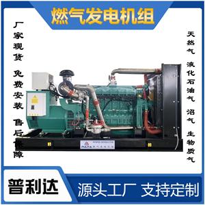 Grupo Electrógeno de Metanol Personalizado de 250KW, Motor a Gasolina de 400V, Amarillo, Ahorro de Energía, Uso Industrial - Product Image 4