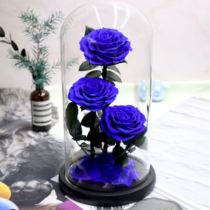 Véritable Rose Naturelle Belle Enchantée Fête des Mères Coffret Cadeau Décor Éternel Pour Toujours Rose Éternelle Fleur Préservée dans un Dôme en Verre Led - Product Image 1