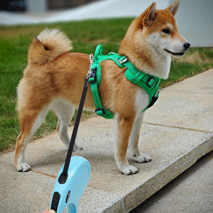 Correa duradera de nailon para mascotas Hermosa correa retráctil extensible automática multicolor con patrón de impresión para perros - Product Image 1