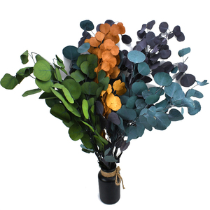 Nuevo follaje 2025 Forever Flower DIY plantas <span class=keywords><strong>de</strong></span> jardín hojas <span class=keywords><strong>de</strong></span> eucalipto preservadas para Arreglo <span class=keywords><strong>de</strong></span> decoración Interior del hogar DIY - Product Image 2