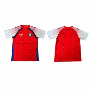 <span class=keywords><strong>Maillot</strong></span> de football style Haïti 2026 personnalisé, respirant, séchage rapide, évacuation de l'humidité, qualité supérieure, pour supporters - Vente en gros usine - Product Image 4