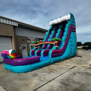 Toboggan aquatique gonflable de taille adulte énorme d'arrière-cour avec piscine pour jeu d'été en <span class=keywords><strong>plein</strong></span> <span class=keywords><strong>air</strong></span> pour adultes - Product Image 1