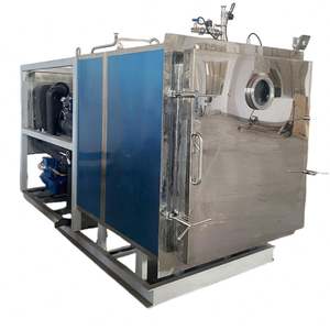 Liofilizador al Vacío de Gran Capacidad para Producción de Alimentos, Frutas y Verduras Liofilizadas - Product Image 2