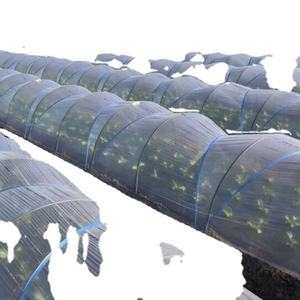 Estaca de árbol trepador de planta de fibra de vidrio para invernadero/postes de soporte de cobertizo de arco FRP - Product Image 4