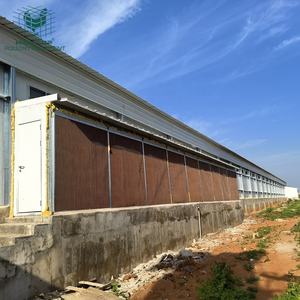 Gallinero Prefabricado Resistente al Viento <span class=keywords><strong>de</strong></span> Instalación Rápida, Estructura <span class=keywords><strong>de</strong></span> Acero para Granja Avícola en <span class=keywords><strong>Venta</strong></span> - Product Image 4