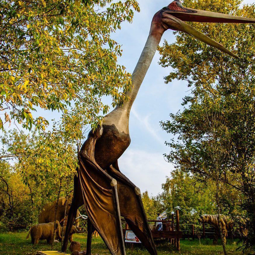 เควตาลโคอาลตัส