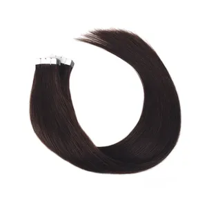 Various Brown Color Tape In Hair Extensions 100% Human Hair Remy Seamless Invisible mini tape in extensions