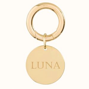 Collar de Metal Personalizado con Nombre y Logotipo Grabado para Mascotas, Perros, Gatos, Cachorros y Caballos, Venta al Por Mayor - Product Image 4