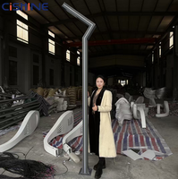 Cishine Poste de Luz Solar de Acero Galvanizado con Fibra Óptica, Octogonal, Cónico y Curvo, de 6m, 7m, 8m, 9m, 10m - Precio