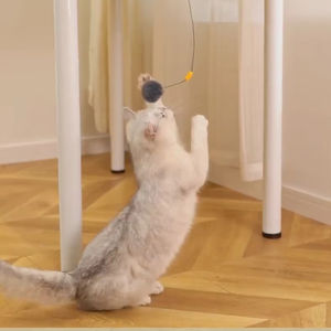 Juguete para Mascotas, Pelota Automática para Gatos, Juguete de Relajación y Autoentretenimiento, Pelota con Extensión y Retracción Automática para Gatos - Product Image 1