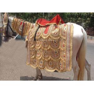 Conjunto de Disfraces Decorativos de Caballo Indio para Novio, 7 Piezas, Terciopelo Ligero, Decoraciones para Bodas Hindúes, Baraat, Fabricantes Indios - Product Image 1