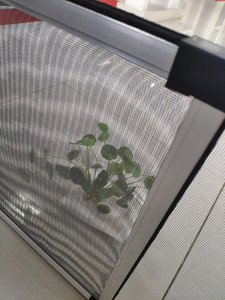 Tùy Chỉnh Bền Nhôm Bụi Bằng Chứng Cửa Sổ Màn Hình Lưới Khung Nhôm Trượt Cửa Sổ Chống Muỗi Lưới Trượt Màn Hình Cửa Sổ - Product Image 5