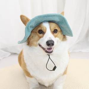 Logo personnalisé crème solaire seau velours côtelé <span class=keywords><strong>chien</strong></span> pêcheur casquette moderne en plein air été chapeaux pour petits chiens en gros vêtements pour animaux de compagnie Topi - Product Image 4