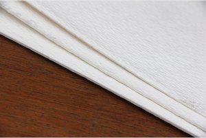 Long Fiber Raw Materials for Making Tissue and Toilet Paper - Product Image 6