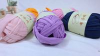 100g Hand-Woven 100% Polyester Bag T-Shirt Fancy Yarn Premium Product Category