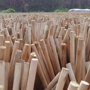 Eucalyptus Wood for Wooden Broom Handles Home Toilet Use 120cm Eco-Friendly Bulk Supply No Screw Low Price 48-50 Pieces Per - Product Image 4