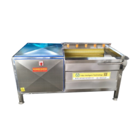 Ce Hoge Capaciteit Industriële Aardappel Wortel Kwast Roller Wassen En Schillen Apparatuur Grootschalige Reinigingsmachine