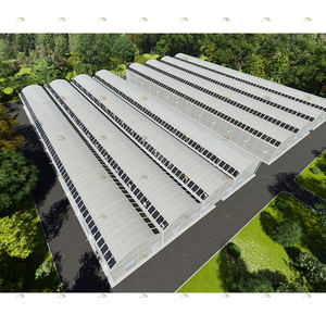 Film de <span class=keywords><strong>serre</strong></span> de tomate agricole bon marché à faible coût <span class=keywords><strong>Serre</strong></span> solaire photovoltaïque solaire multi-travée à vendre - Product Image 6
