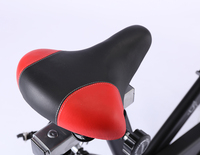 Smart Trainer Sports d'intérieur Spin Bike Home Exercise Fitness Equipment en acier