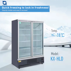 Congelador vertical de pantalla de puerta de vidrio Vertical de carne de helado de temperatura única comercial con estantes ajustables - Product Image 5