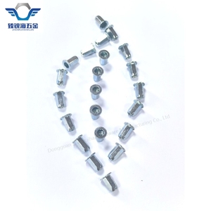 Bán Buôn Nhỏ Chìm Đầy Đủ Lục Giác Đinh Tán Nut Carbon Thép Mạ Kẽm Nut Với Hex Đầu Phẳng Cho Chăm Sóc Sức Khỏe Các Ứng Dụng - Product Image 6