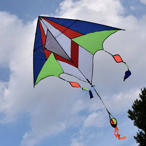 شركة مصنعة للبيع بالجملة توفر طائرة ورقية سهلة الطيران عالية الجودة للأطفال متعة رياضة الشاطئ طائرة ورقية كبيرة جميلة مخصصة كبيرة - Product Image 2