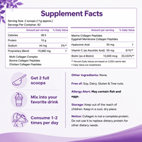 Poudre de peptides de collagène multiples OEM avec biotine, vitamine C, acide hyaluronique, types I, II, III, V, X – Antioxydant pour la beauté de la peau et des articulations chez l'adulte