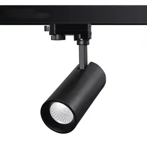 Luce LED da soffitto regolabile 12W chiaro diffusore smerigliato Focus pannocchia LED Tracklight