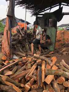 Charbon de bois Litchi Binchotan supérieur pour la cuisson au barbecue de haute qualité à combustion lente et à faible teneur en cendres sans fumée et sans odeur - Product Image 4