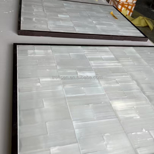 <span class=keywords><strong>Nacre</strong></span> Sélénite Cristal Blanc Gris Stylo Shell Noir Stylo Shell Mosaïque Panneau Incrustation Abalone Mosaïque <span class=keywords><strong>Marqueterie</strong></span> Panneau Mural - Product Image 3