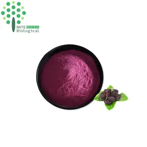 Wholesale Bulk Freeze Dried Mulberry Juice Powder Water Soluble