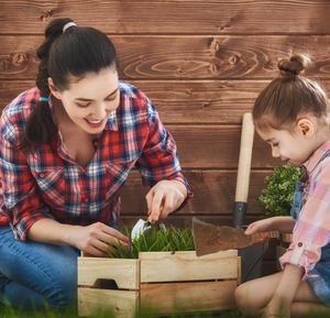 Ensemble de 5 outils de jardinage pour plantes <span class=keywords><strong>en</strong></span> <span class=keywords><strong>pot</strong></span> d'intérieur et d'extérieur, pour le repiquage - Product Image 5