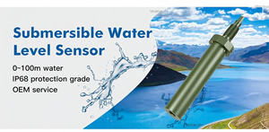 Sonde de niveau d'eau en acier inoxydable GLT100 100m 4-20mA avec protection IP68 pour l'irrigation agricole - Product Image 5