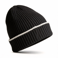 Bonnet d'hiver personnalisé noir de haute qualité avec logo OEM/ODM pour le voyage – Nouveauté