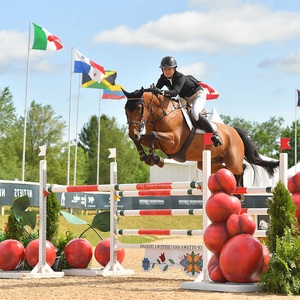 China Aochi Factory Durable Other Horse Products Equestrian Equipment Horse Jumping Poles Horse <strong>Show</strong> <strong>Jumps</strong> - Product Image 4