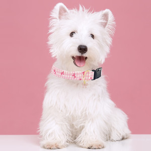 Lindo <span class=keywords><strong>collar</strong></span> de perro con diseño de lazo rosa con amuleto de pajarita <span class=keywords><strong>Collar</strong></span> ajustable para mascotas para perros pequeños, medianos y grandes - Product Image 2